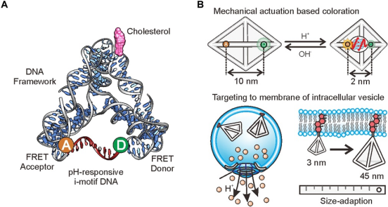 20250106_141546_428.png image.png