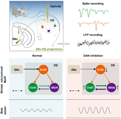 20250106_142714_342.png image.png