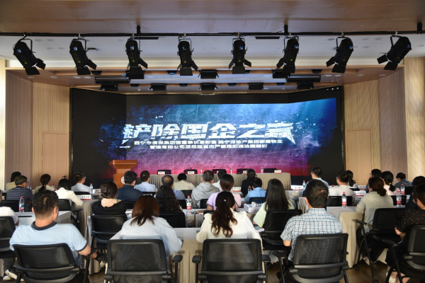 20250619_091041_515.png 图片3.png