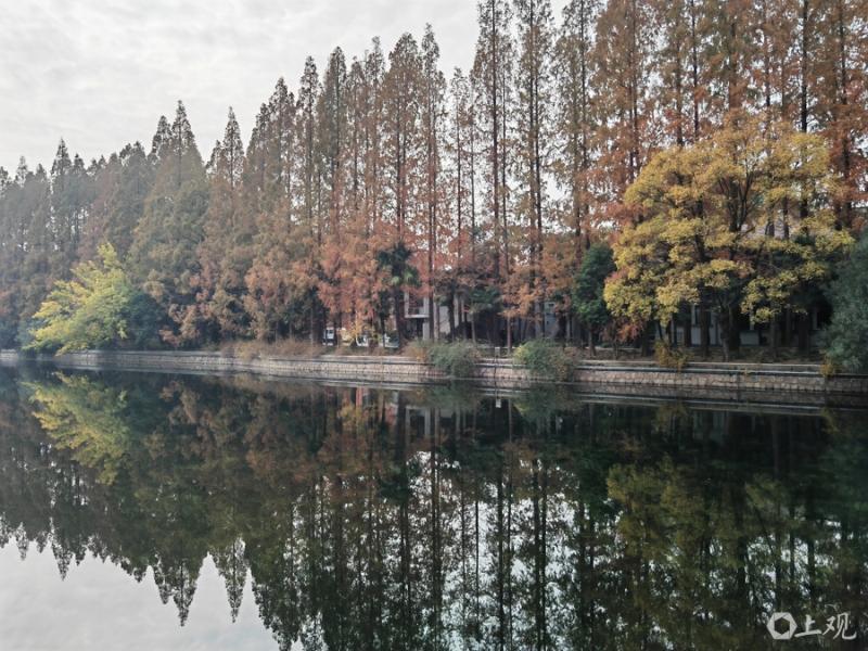 20251207_214907_944.jpg 001.jpg