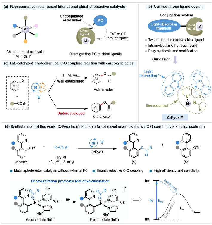 20251209_163042_993.png 图1.png