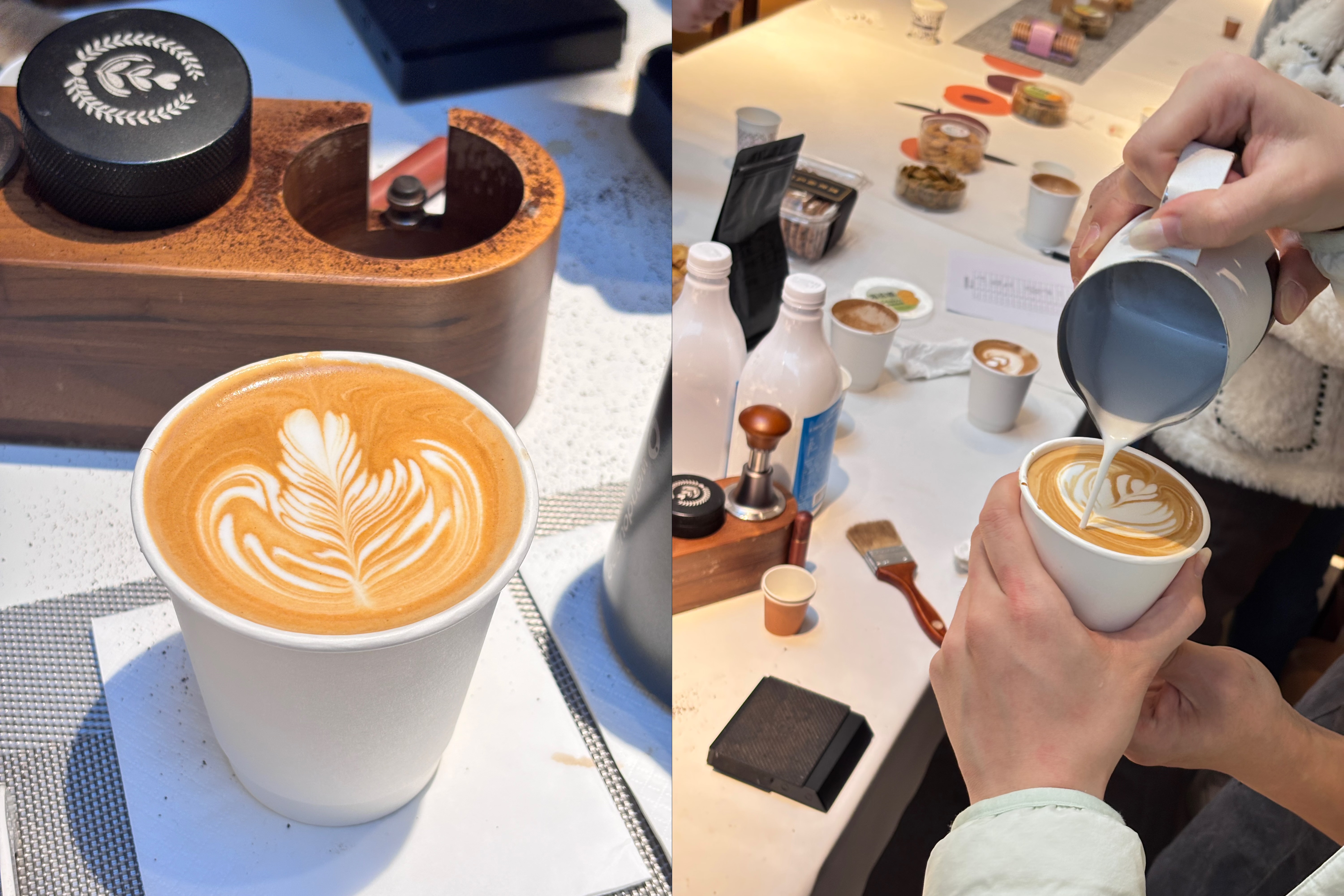 1764925336893451.jpg 1764925336893451.jpg