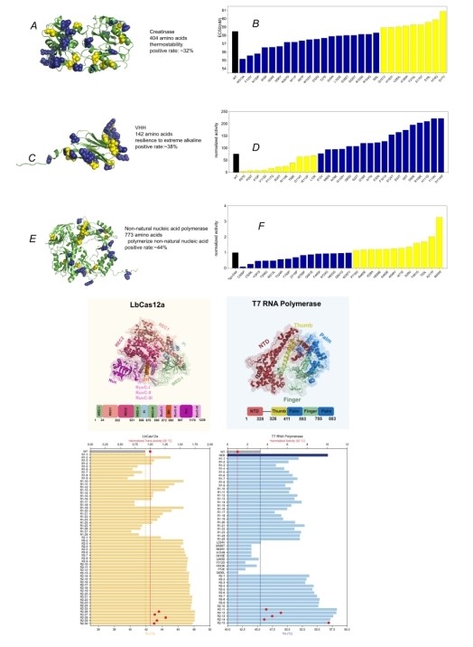 1733208601680549.jpg 图片12.jpg
