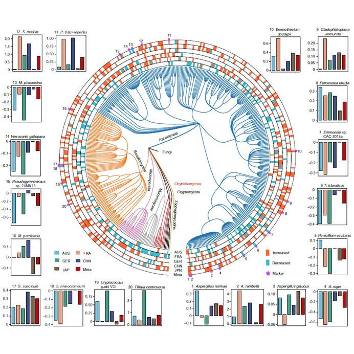 第四届开云网页登录十大科技进展入选成果——结直肠癌特异肠道四界菌群及作用机制