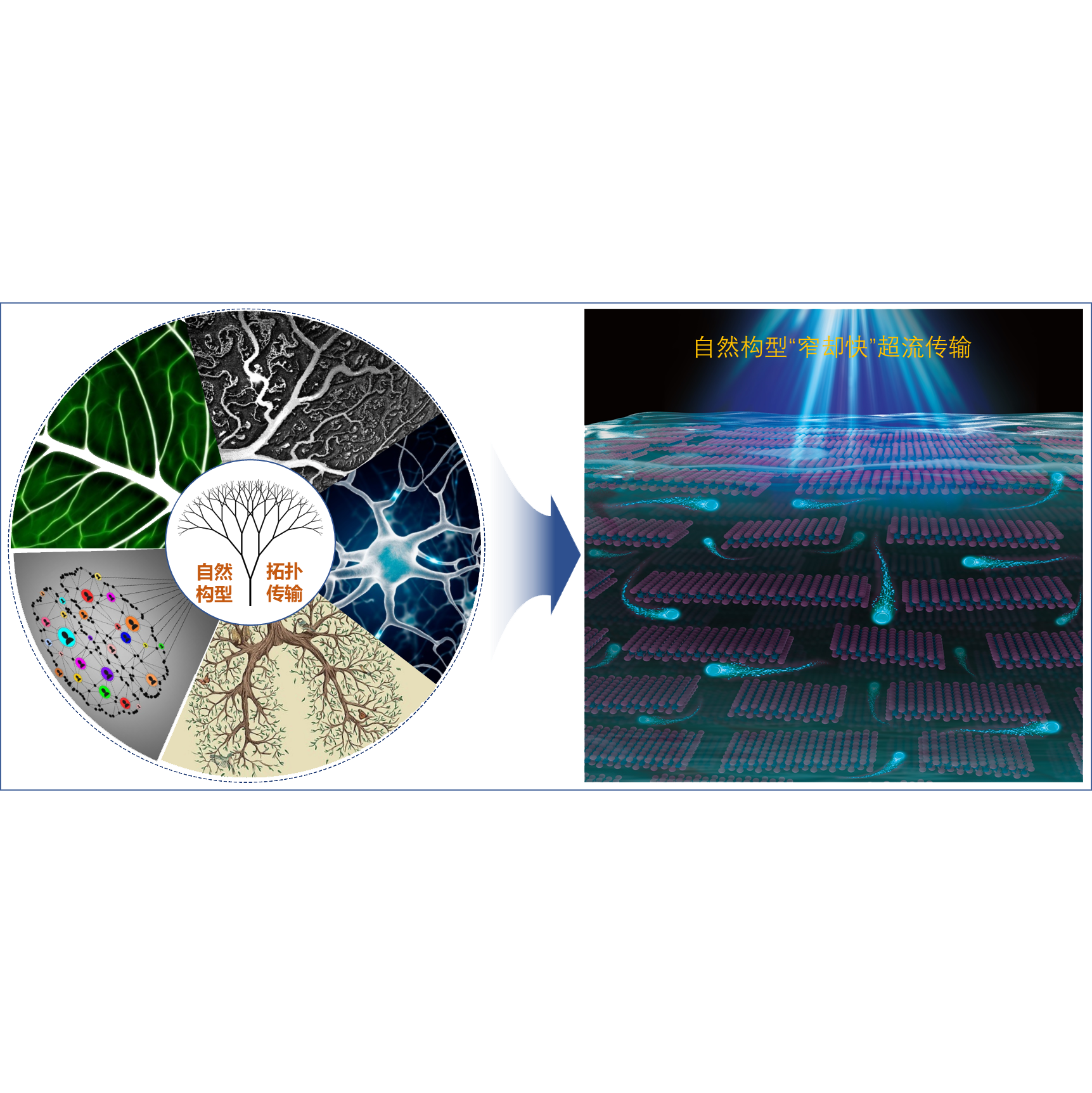 第四届开云网页登录十大科技进展入选成果——自然构型“窄却快”超流传输的电极材料