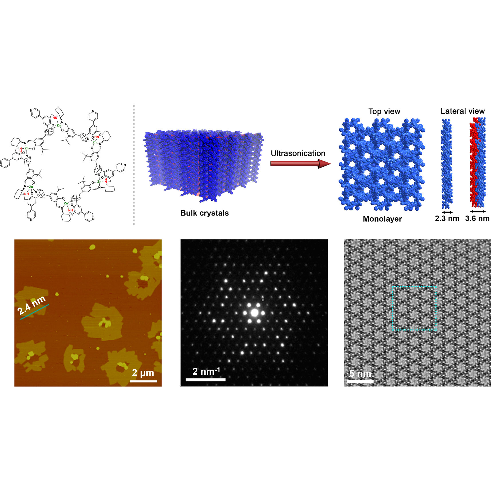 第四届开云网页登录十大科技进展入选成果——自支撑手性二维单层分子晶体