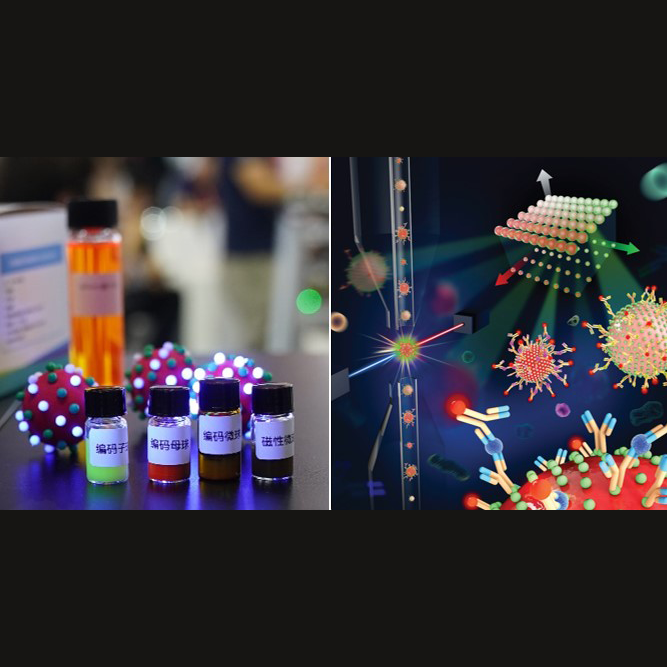 第四届开云网页登录十大科技进展入选成果——新型编码液相芯片多指标检测技术及应用