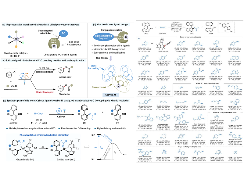 开云app官网入口下载苹果版
刘家旺/郑庆舒团队实现双功能光活性手性配体促进的可见光和镍协同催化的不对称C−O偶联